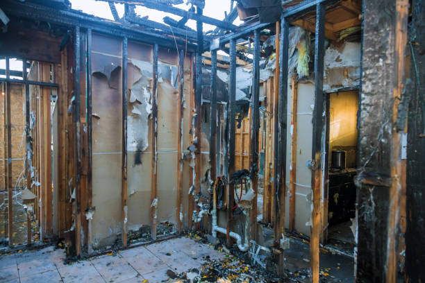 Professional Fire Damage Removal technician working in Starkville, MS